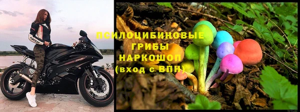 дурь Алексин
