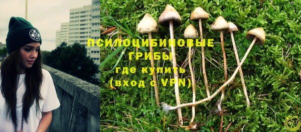 героин Алзамай