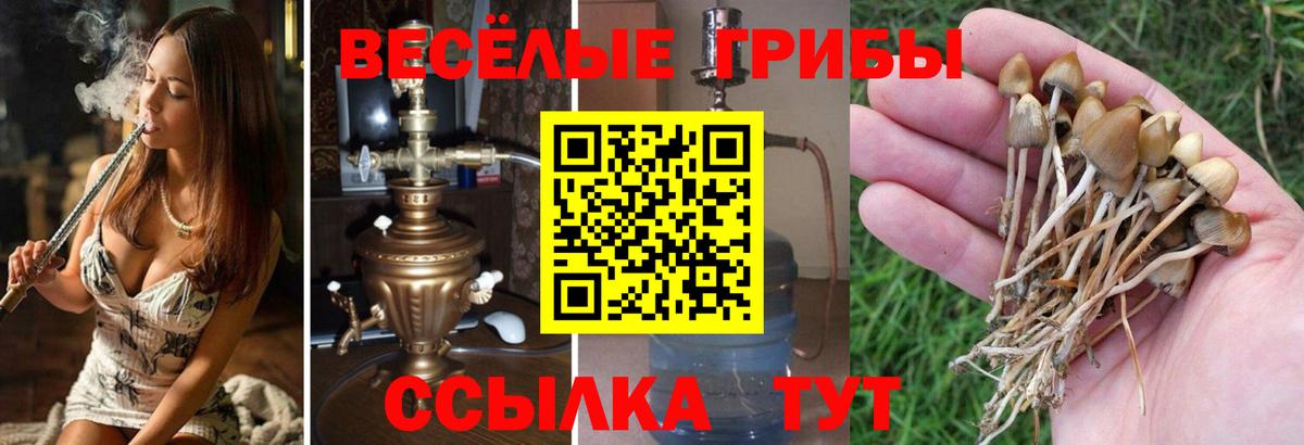 Псилоцибиновые грибы ЛСД Балашиха